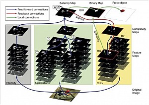 Saliency maps